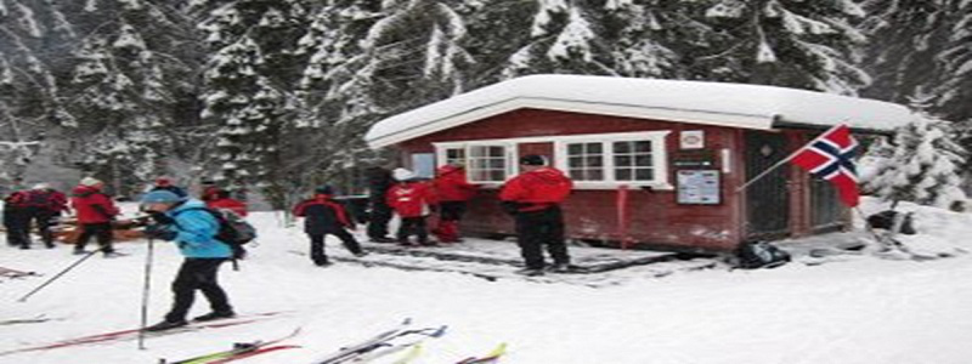 Rastebua i Sørkedalen